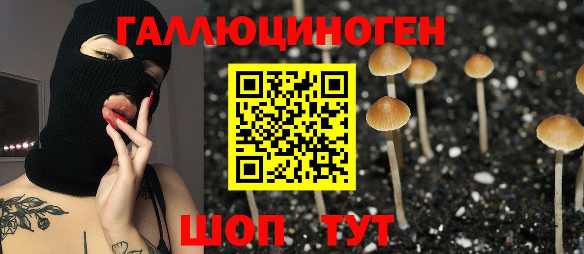 Троицк  Псилоцибиновые грибы Psilocybine cubensis  Вход с VPN 